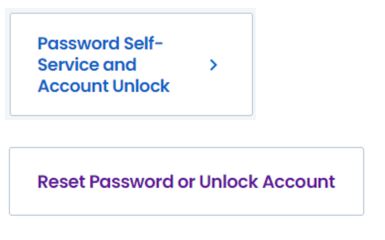 Account unlock icons