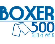 Boxer 500 logo