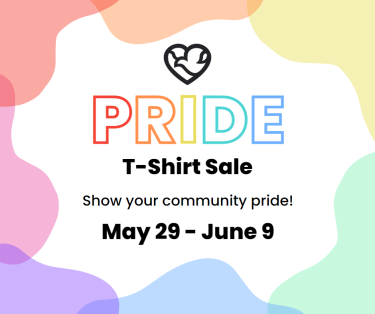 Pride shirt sale